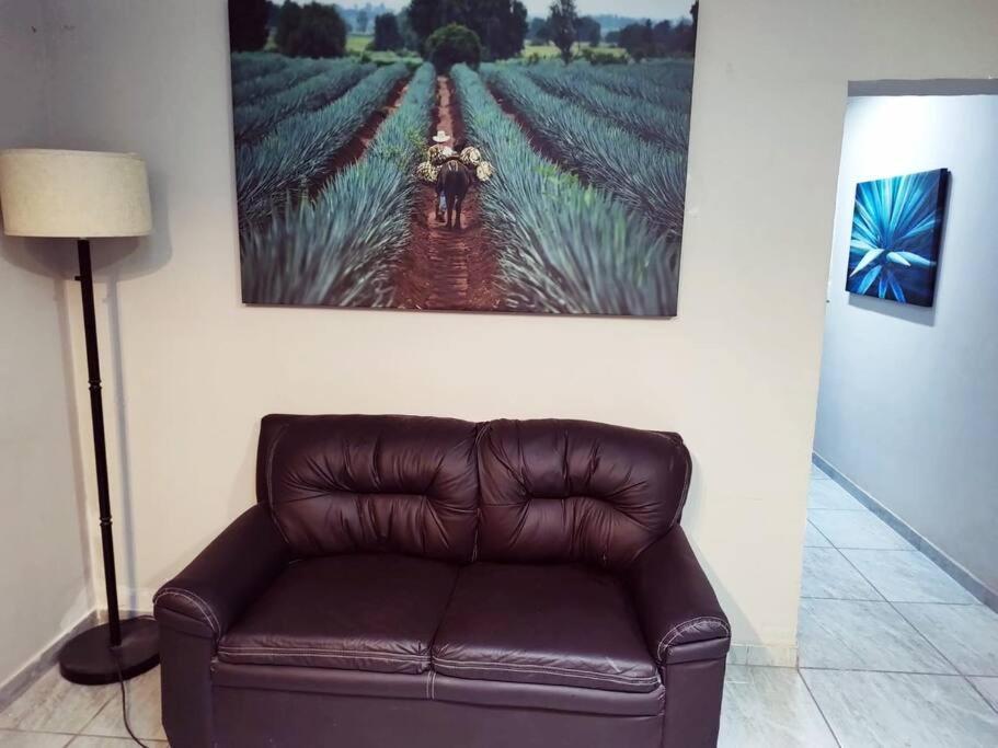 Hermoso Departamento Centrico Con Servicios Apartment Tequila Luaran gambar