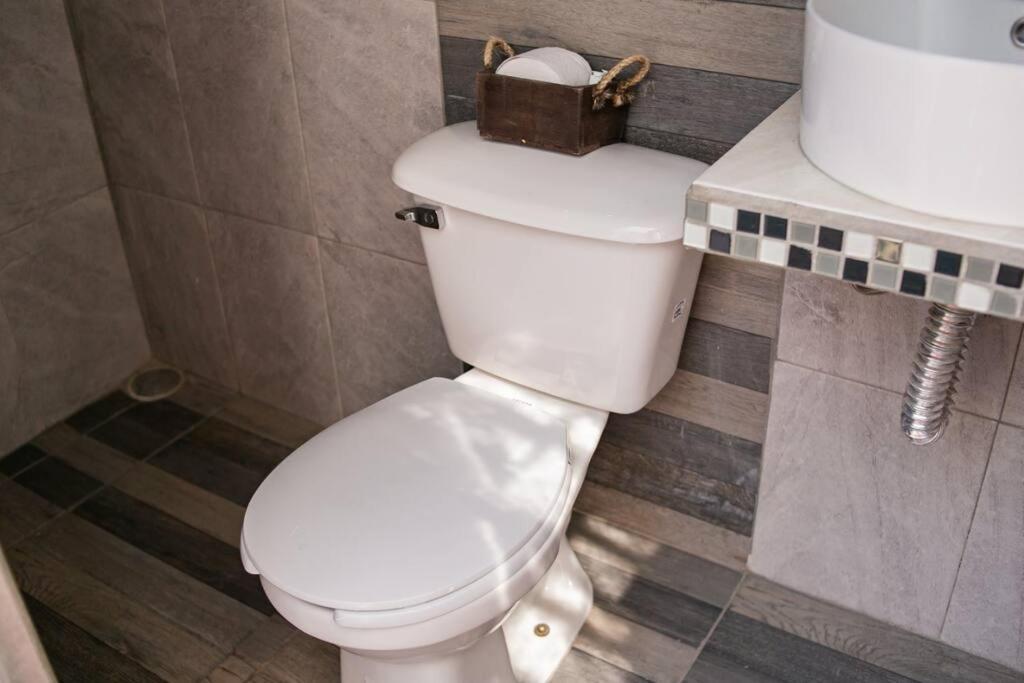 Hermoso Departamento Centrico Con Servicios Apartment Tequila Luaran gambar