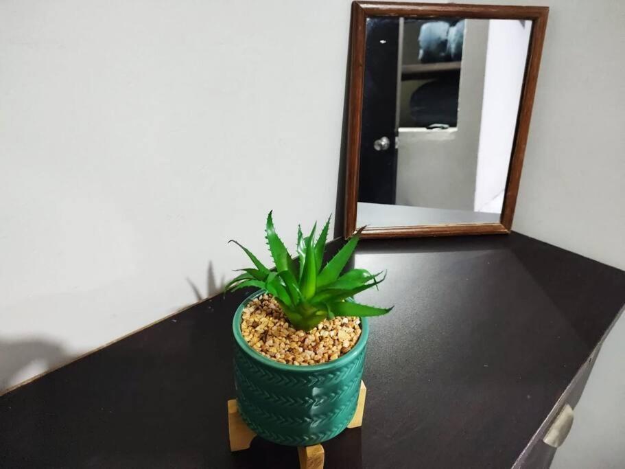 Hermoso Departamento Centrico Con Servicios Apartment Tequila Luaran gambar